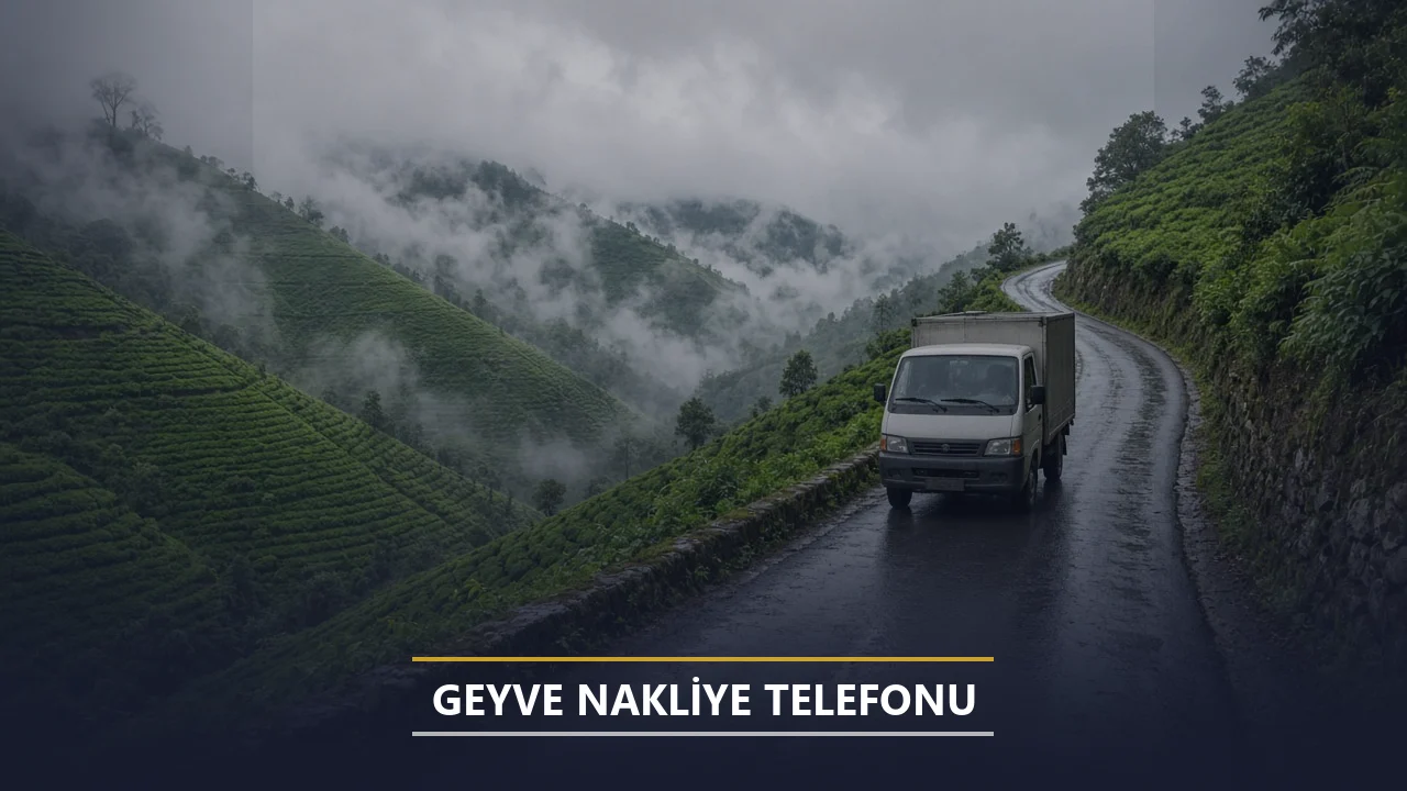 Geyve Nakliye Telefonu
